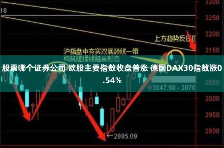 股票哪个证券公司 欧股主要指数收盘普涨 德国DAX30指数涨0.54%